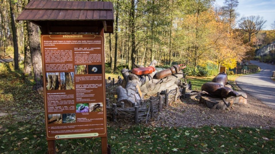 Broukoviště v Zoo Ostrava