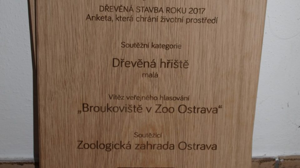 Dřevěný diplom