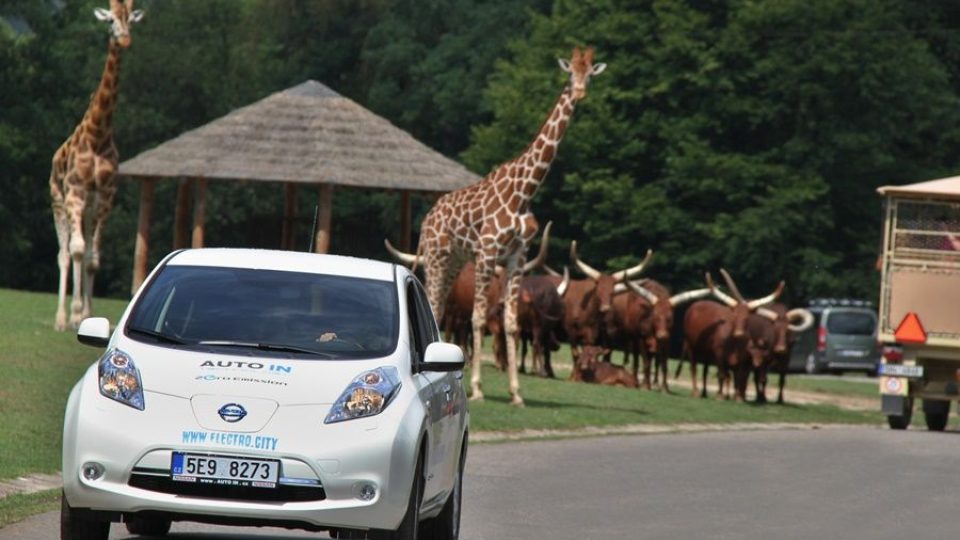 Jako jediná u nás i v Evropě začne královédvorská ZOO využívat elektromobily