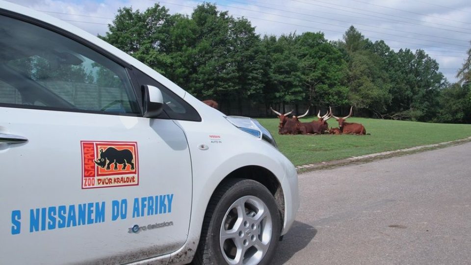 Jako jediná u nás i v Evropě začne královédvorská ZOO využívat elektromobily