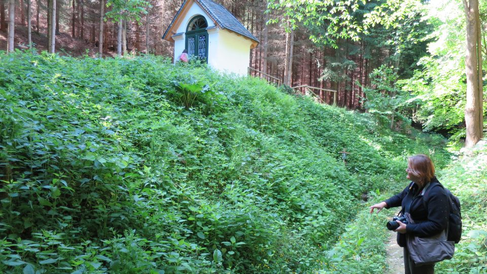 Schlesingerova kaple ve Vysokém lese a pod ní studánka