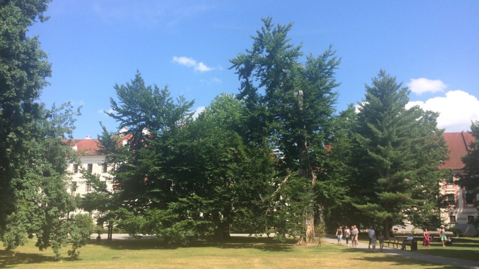 Zámecký park v Třeboni byl založen na počátku 17. století, současný kastelán mu během svého působení ve funkci postupně vrací původní historickou podobu