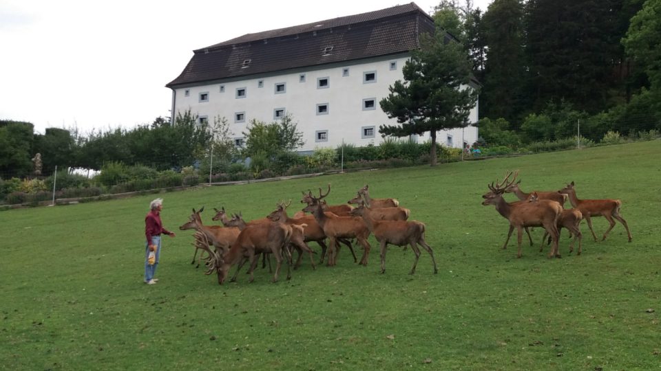 Majitel zámku Nové Hrady Petr Kučera na zámecké farmě jelení a dančí zvěře