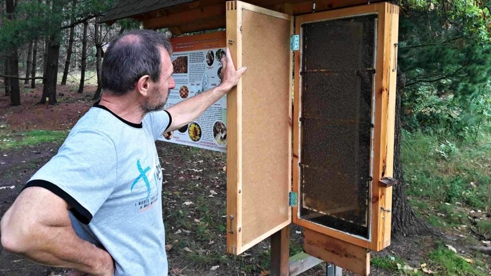 Spoluautor stezky Miloš Hanus ukazuje jedno z naučných zastavení, kde si návštěvníci mohou prohlédnout, jak se včely v úlu chovají