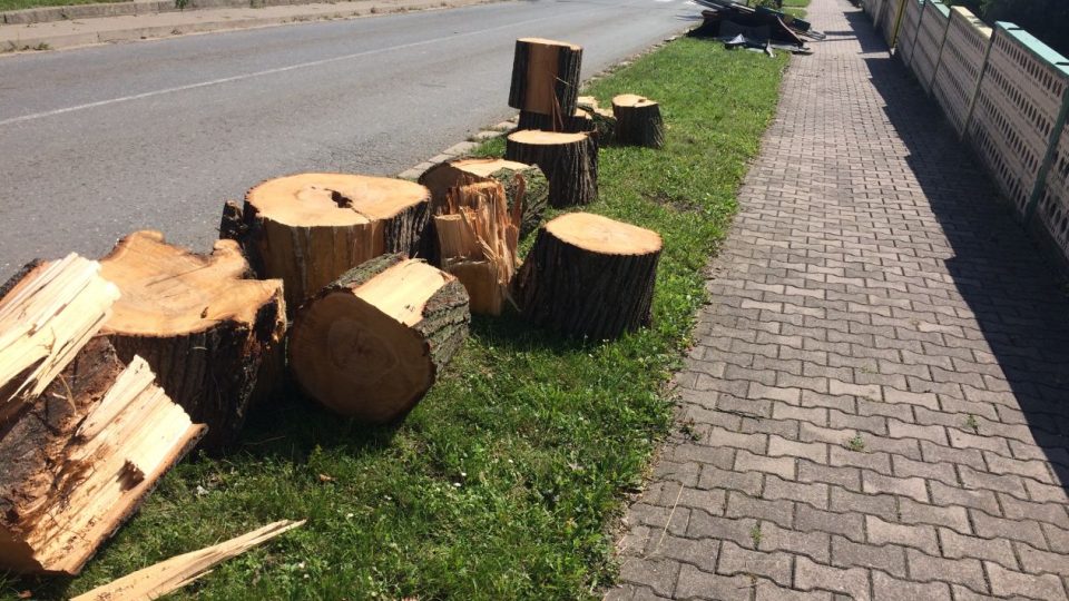 Bohuslavice na Náchodsku se vzpamatovávají z páteční bouře, která v obci napáchala velké škody