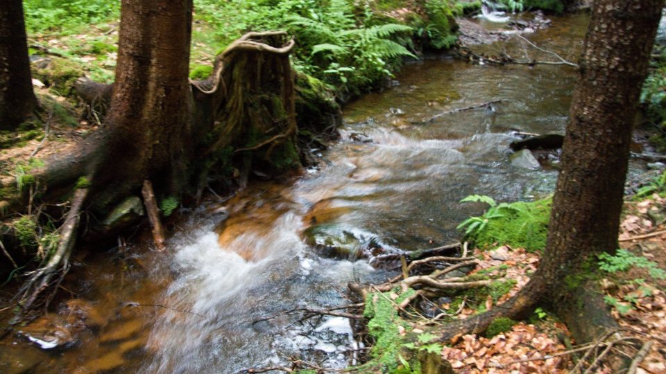 Dvoubarevnost potoku je patrná ještě po několika metrech