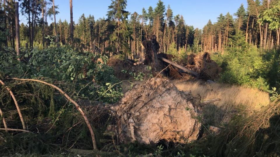 Po ničivých bouřích je do některých lesů v okolí Úpice na Trutnovsku vyhlášen zákaz vstupu