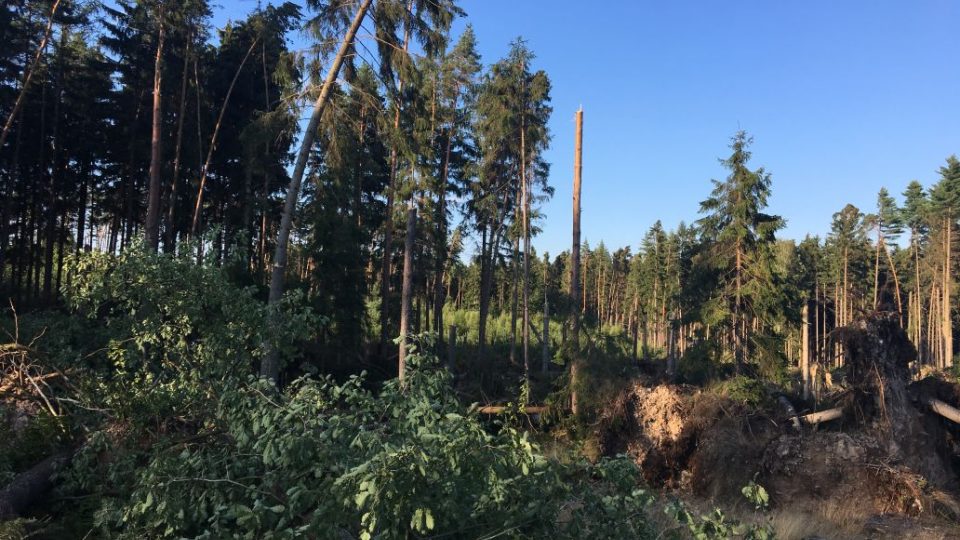 Po ničivých bouřích je do některých lesů v okolí Úpice na Trutnovsku vyhlášen zákaz vstupu