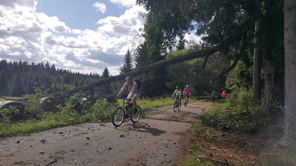 V Národním parku Šumava likvidují následky bouře. Na cestách jsou popadané stromy, další ještě mohou padat