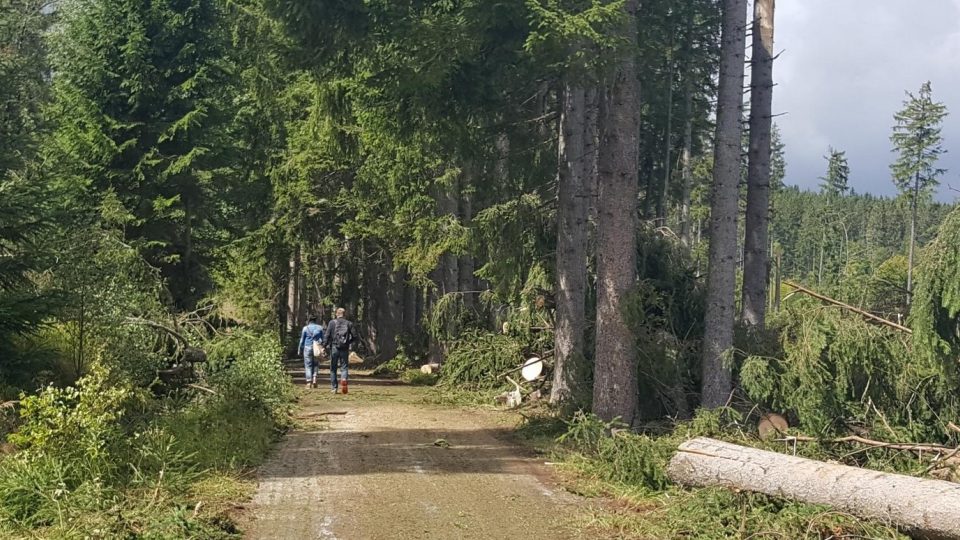 V Národním parku Šumava likvidují následky bouře. Na cestách jsou popadané stromy, další ještě mohou padat