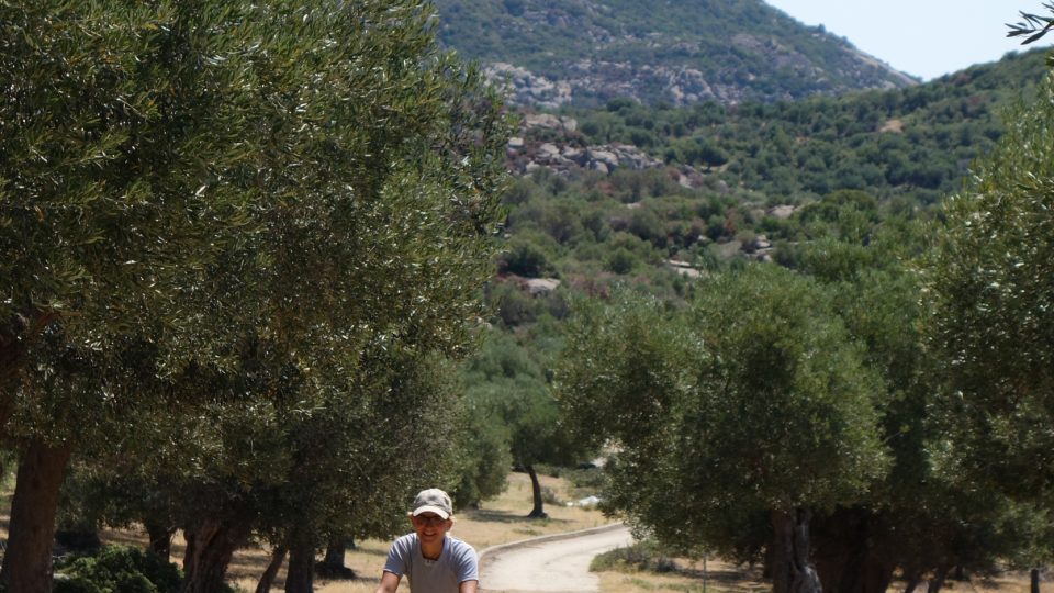 Mezi řeckými olivovníky
