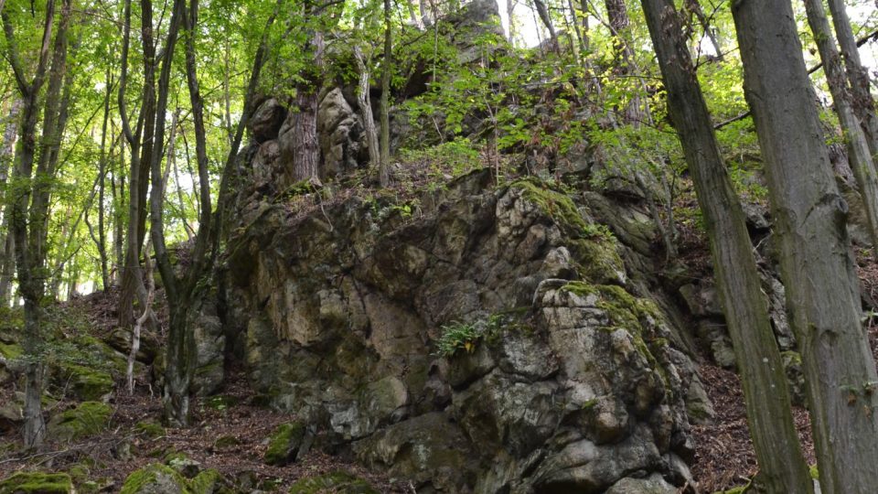 Přírodní park Rokytná vznikl na konci 70. let minulého století