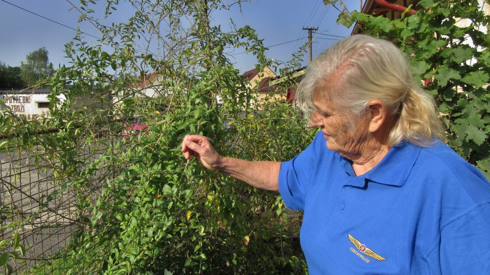 Svoji zahrádku miluje