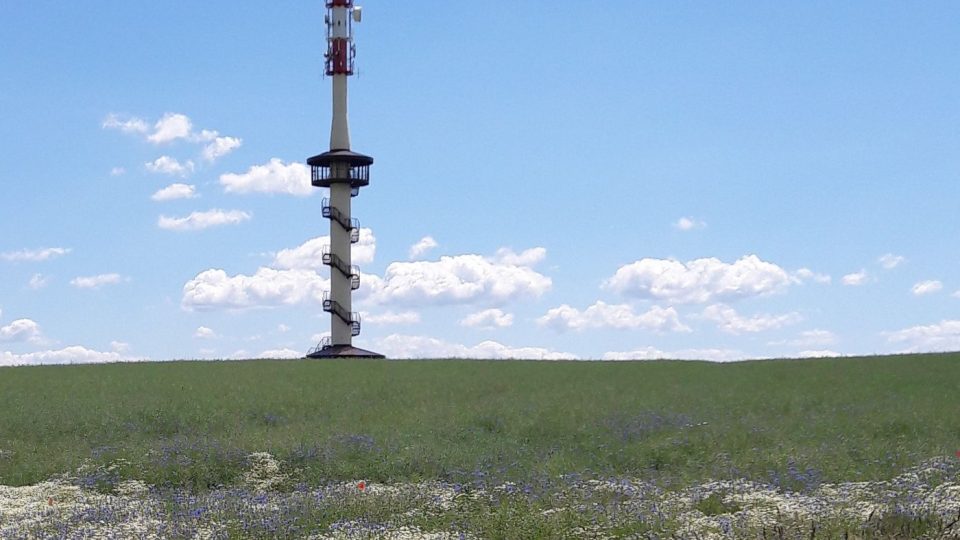 Rozhledna Kanihůra