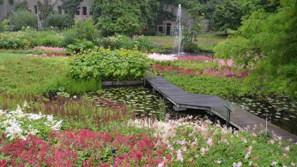 Botanická zahrada v nizozemském Utrechtu byla dalším místem, kam zavítala moderátorsky zahradnická dvojice Hanka Šoberová a Pavel Chlouba