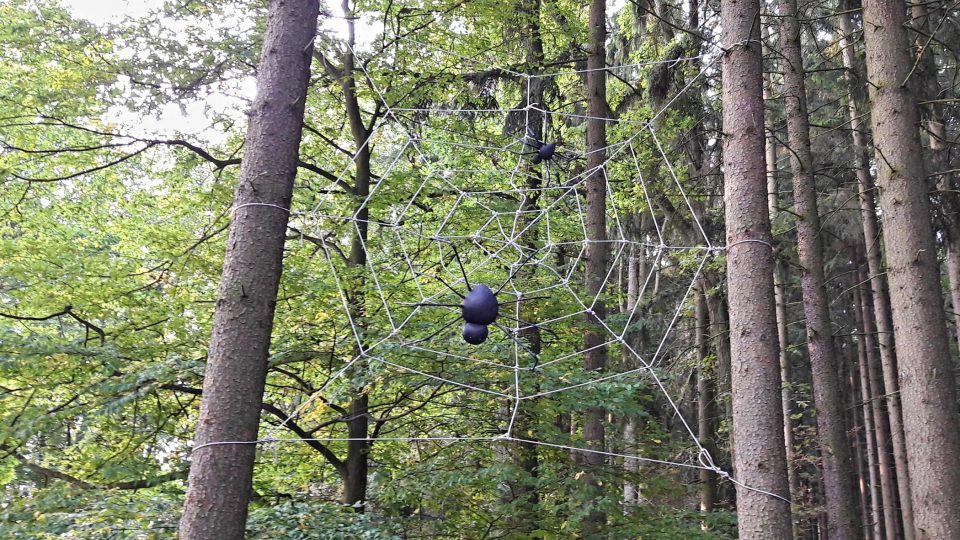 Ždírecká ZOO představuje zvířata ze dřeva a z kovu Ždírecká ZOO představuje zvířata ze dřeva a z kovu