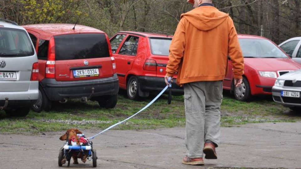 I vozíčkáři se dají venčit. Michal Babka na procházce s ochrnutým Štefanem