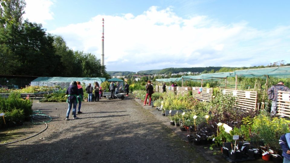 Zahradnická a zemědělská výstava Libverda 2017 v Děčíně