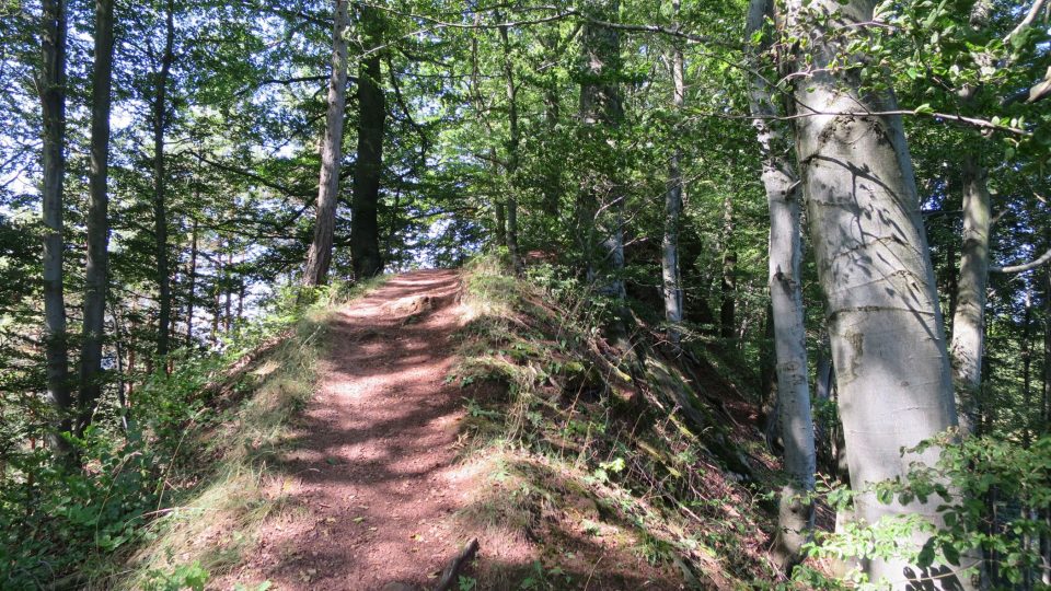 Cesta k vrcholu Kozince skutečně připomíná kozí hřbet