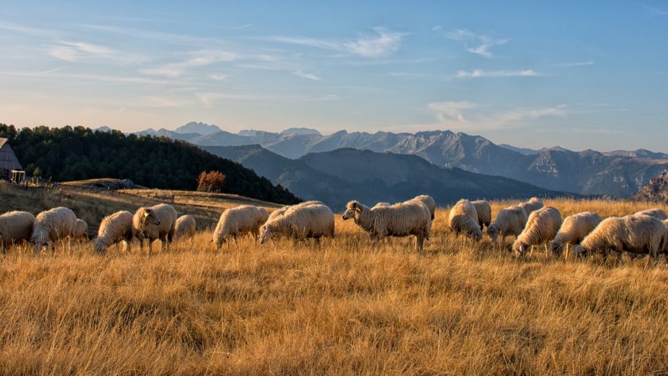Prokleté hory v Albánii ctí přísloví - Host do domu, Bůh do domu