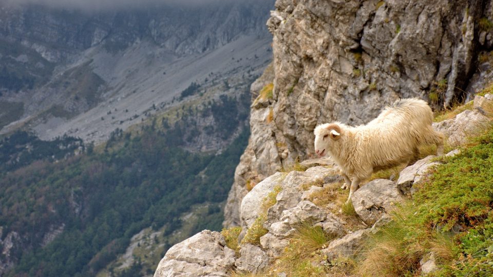 Prokleté hory v Albánii ctí přísloví - Host do domu, Bůh do domu