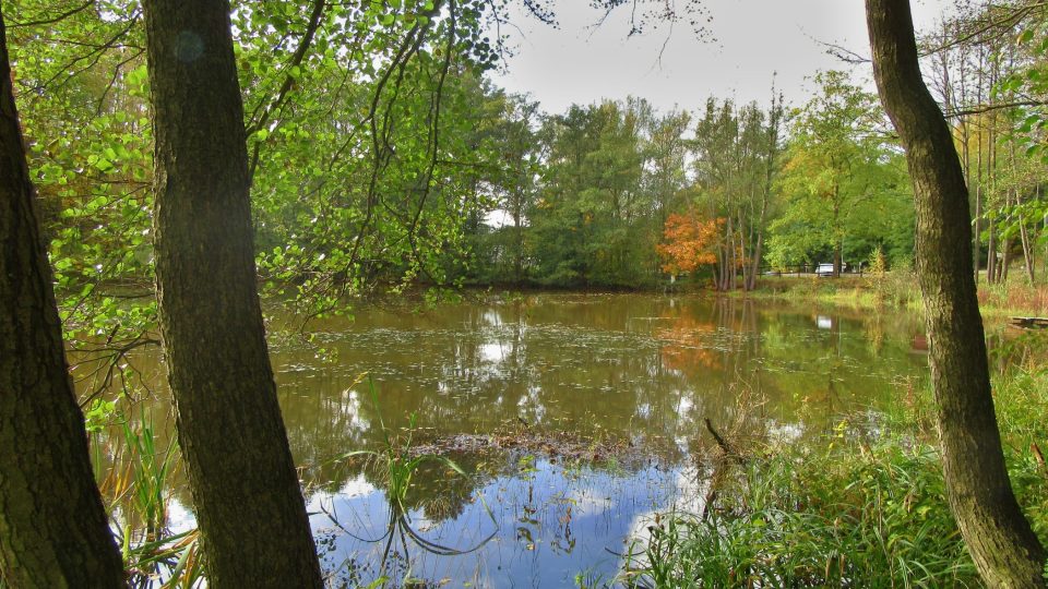 Přírodní rezervace Pomezní rybník na Chebsku