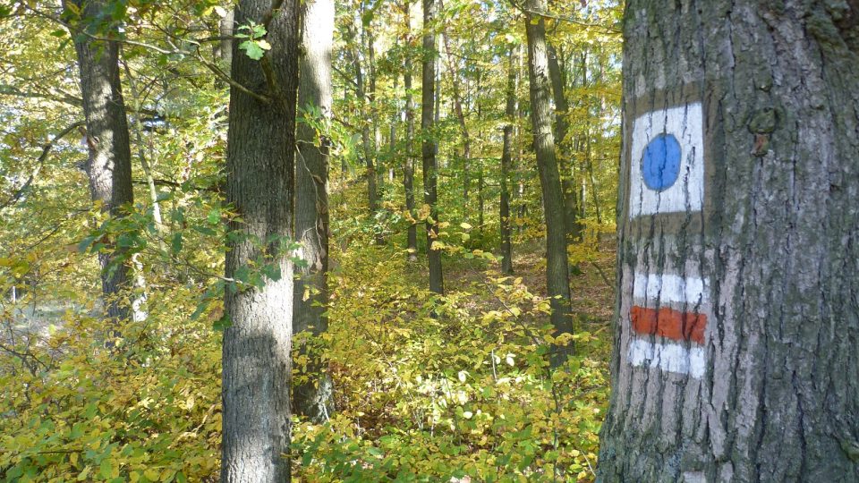 Podél přehrady vede červená turistická trasa