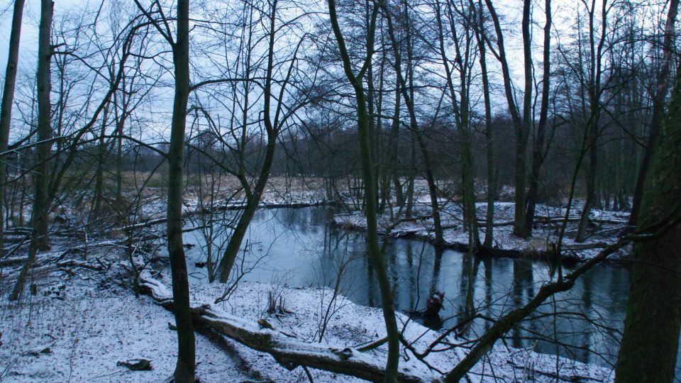 Mlýnský náhon je poměrně klikatý protože využívá také původní přírodní ramena Moravy