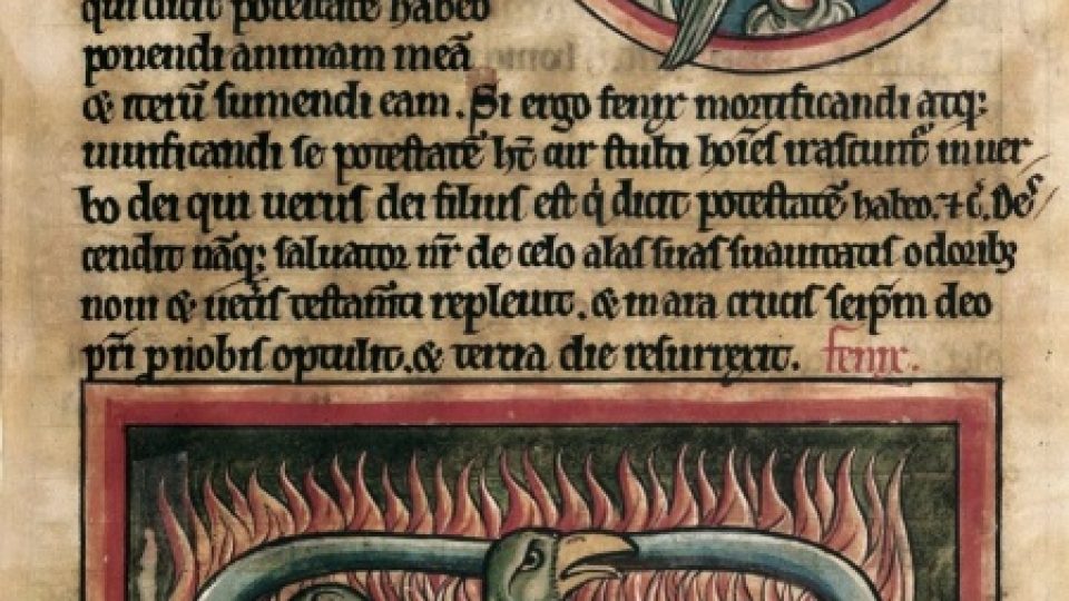 Fénix vstává z popela, manuskript ze 13. století