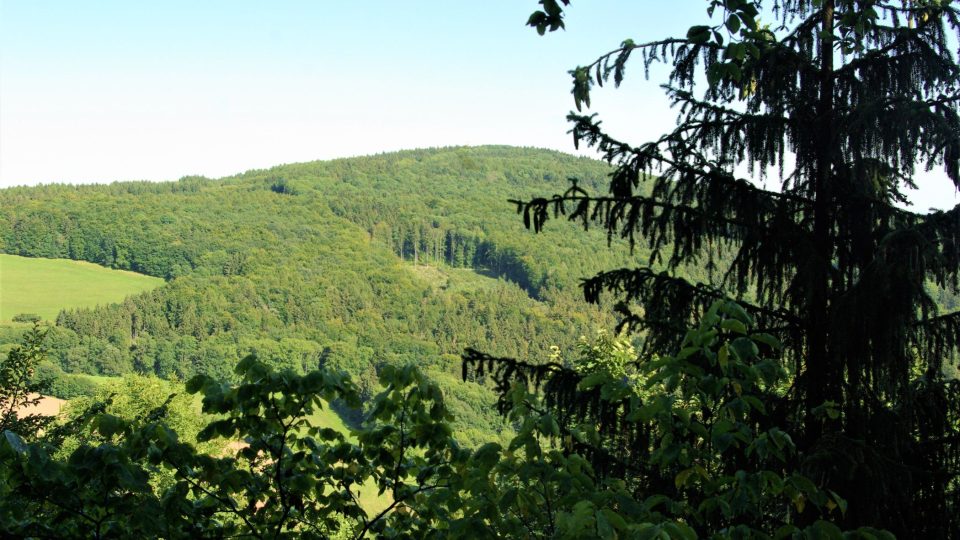 Někdejší působivé výhledy do okolní krajiny Lomnicka a Jičínska dnes zakrývá lesní porost