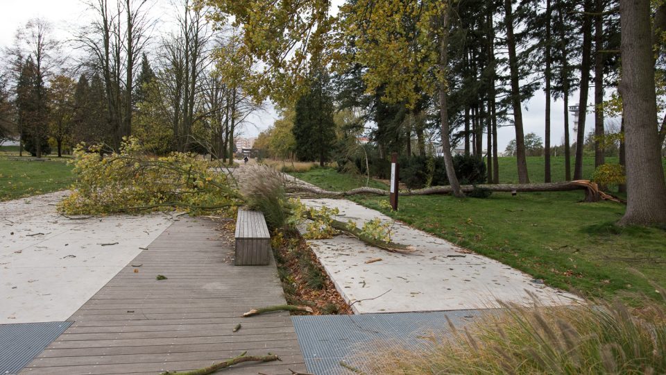 V Tyršových sadech také jeden ze stromů nevydržel nápor větru