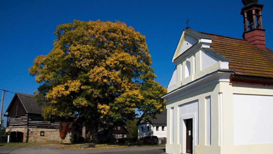 Náves s kaplí Panny Marie Náves s kaplí Panny Marie