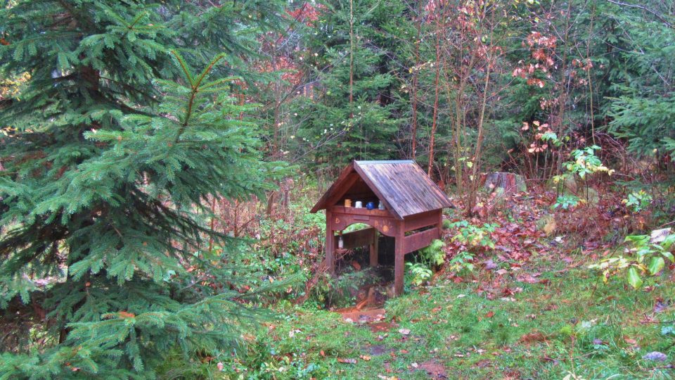 Studánka v lese ukrytá