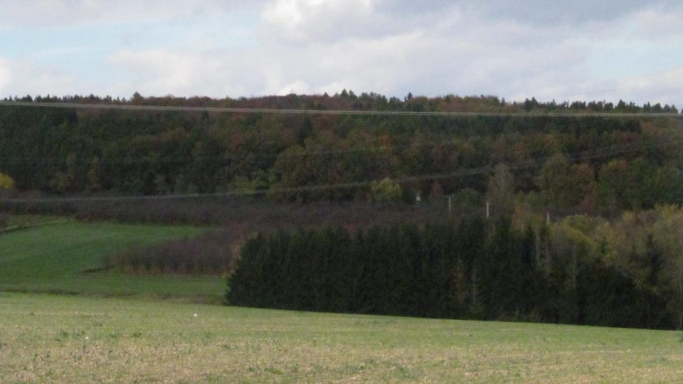 Všechny tyto svahy jsou na podzim hrou barev listí a na jaře kvetou