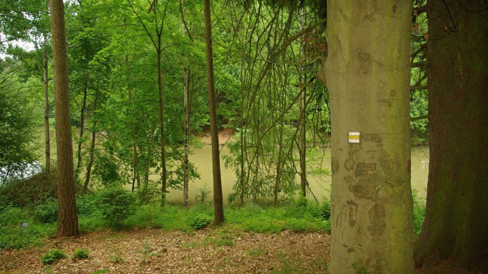 Pod kaplí Nejsvětější Trojice u Ostružna je rybník Jíkavec Pod kaplí Nejsvětější Trojice u Ostružna je rybník Jíkavec