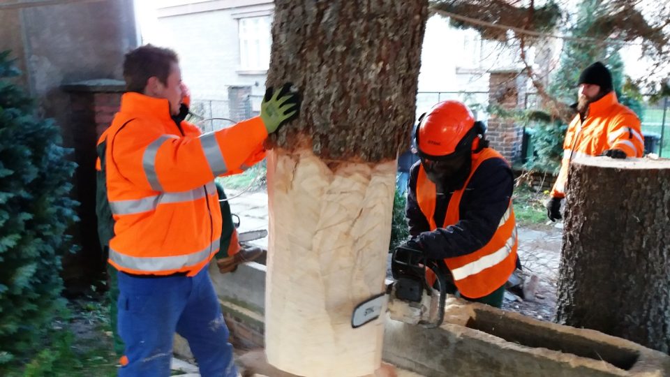 Dřevaři upravují kmen vánočního stromu pro Kutnou Horu