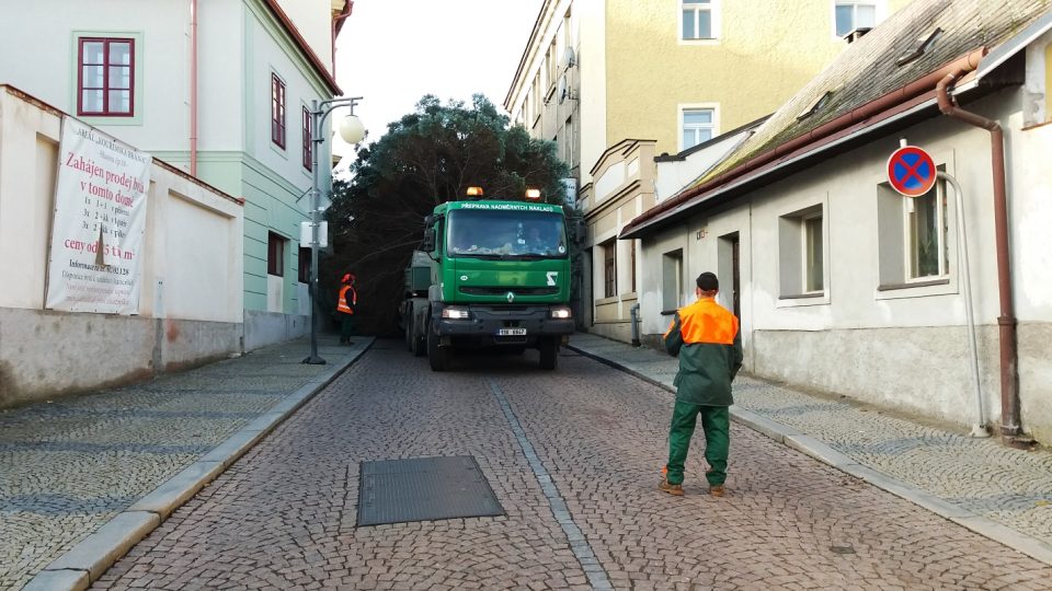 Převoz stromu úzkými ulicemi Kutné Hory