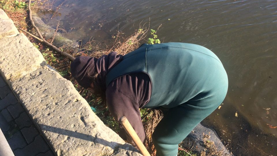 Dobrovolníci čistili Zámecký rybník v Děčíně
