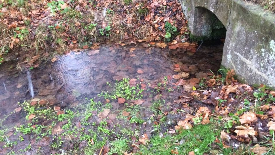 Lázničkova studánka vyvěrá nedaleko kamenného historického mostu