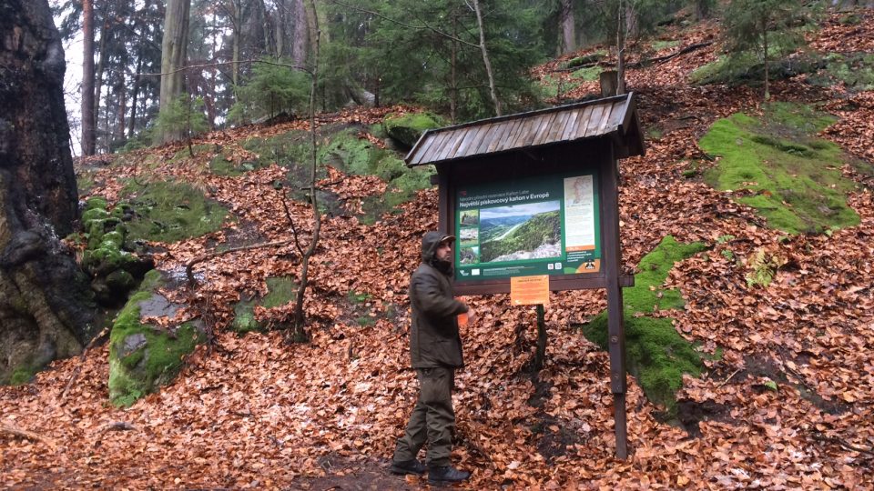 Strážci národního parku České Švýcarsko brání netopýry před bezohlednými návštěvníky jeskyní
