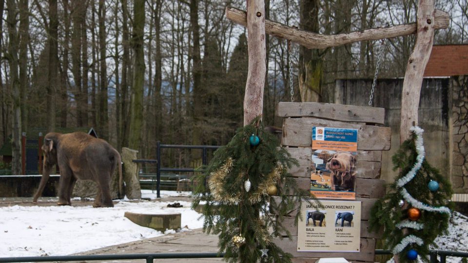 Vánoční výzdoba liberecké zoo