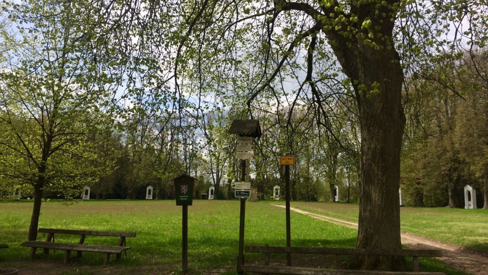 K oblíbenému poutnímu místu na Mariánské hoře v Horní Čermné vedou turistické trasy i naučná stezka