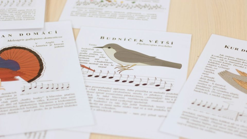 Odposlouchat hlavní hudební motivy jednotlivých ptáků nebylo nic jednoduchého
