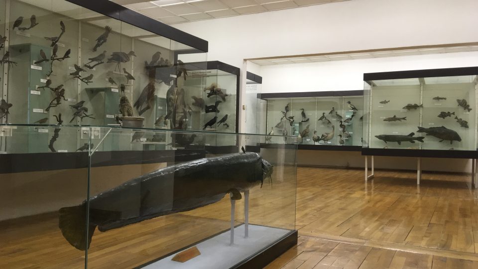 Přírodovědná sbírka severozápadních Čech se stěhuje do teplického muzea