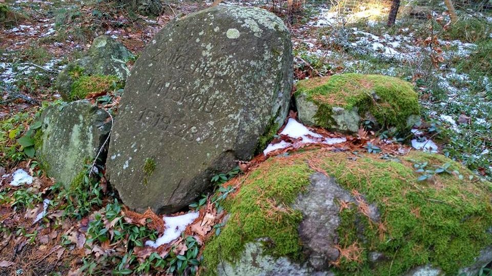 Památeční kámen z let 1918 až 23, kdy lesy nad městem Nasavrky postihla mnišková kalamita