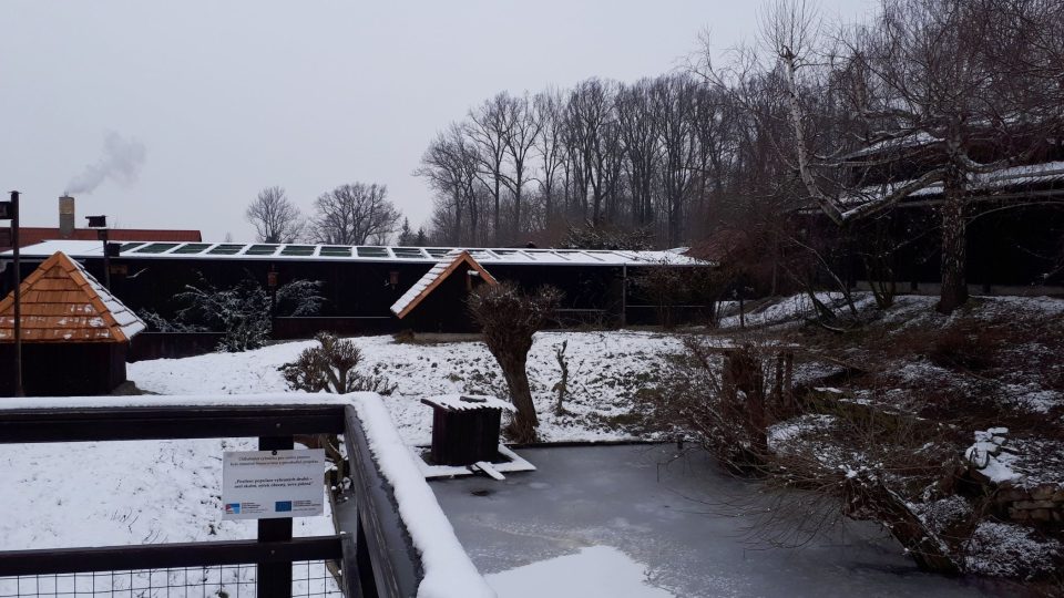 Z vyhlídky můžete sledovat třeba čápy či srnky. Tato zvířata se sem dostala se zraněním a už nikdy se kvůli trvalým následkům nevrátí do volné přírody