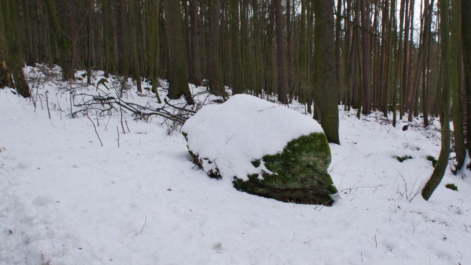 Švédský kámen leží jen několik metrů od silničky, která spojuje malou osadu Karlov s okolním světem