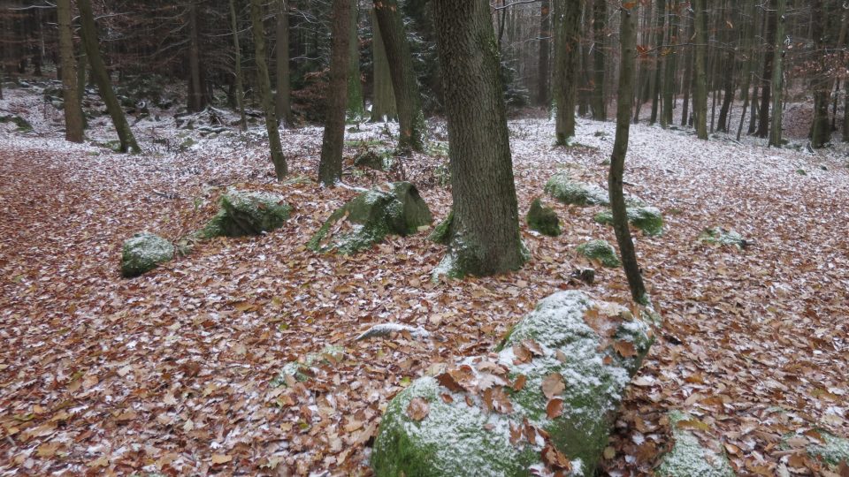 Žula na mnoha místech dodnes vystupuje ze země