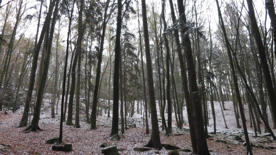 Žula na mnoha místech dodnes vystupuje ze země