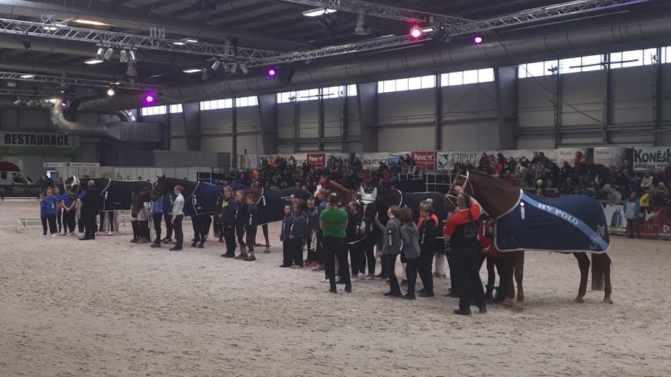 Diváci na festivalu jezdectví v Lysé nad Labem vytvořili skvělou atmosféru